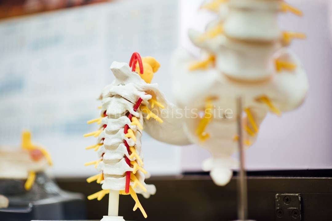 Chiropractic Care Hero